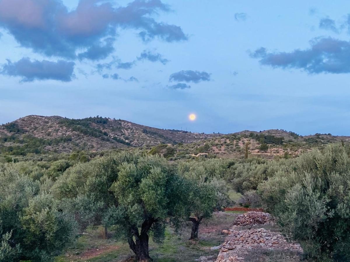 Paraiso Bell Tent Tortosa Exteriör bild