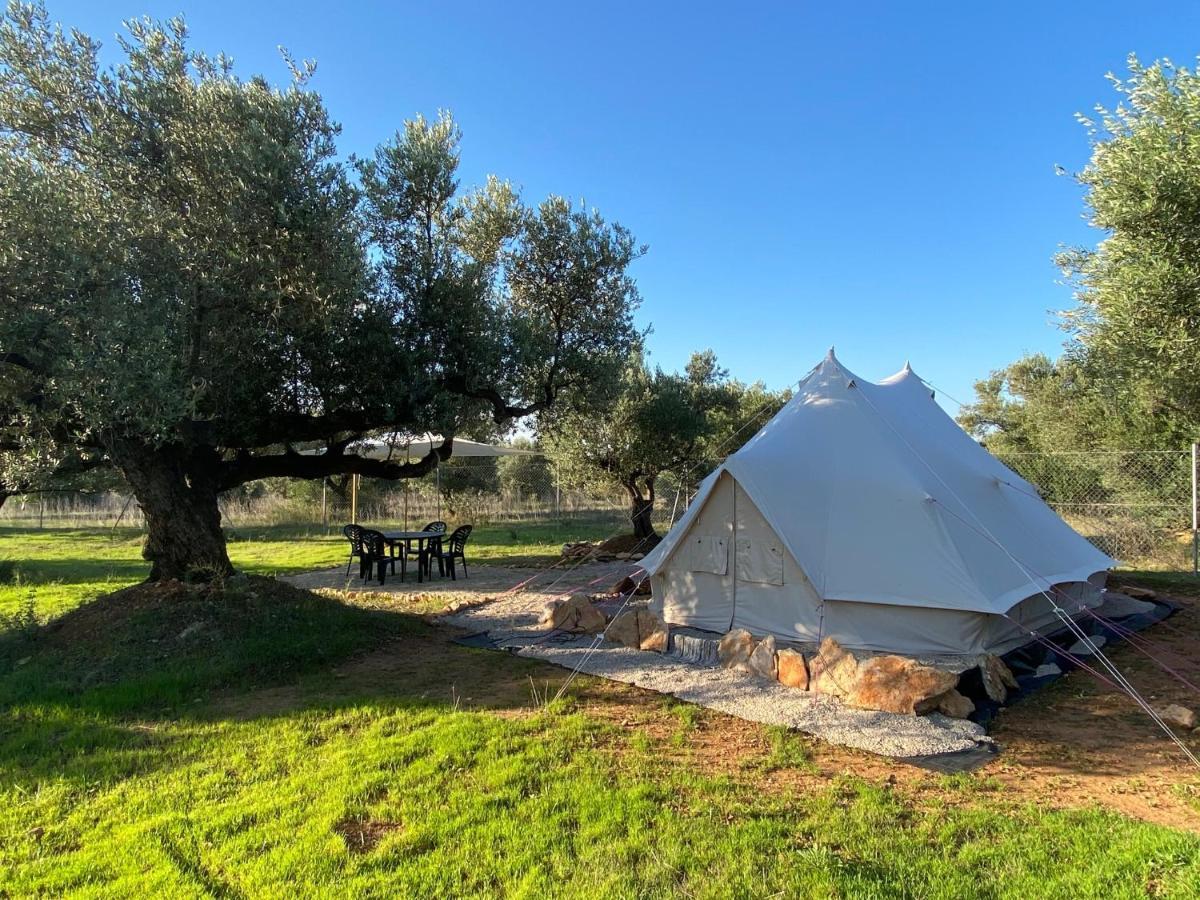 Paraiso Bell Tent Tortosa Exteriör bild