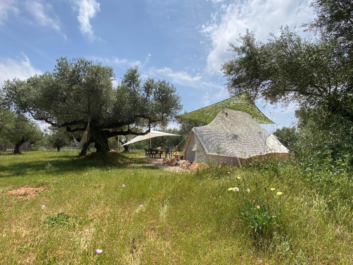 Paraiso Bell Tent Tortosa Exteriör bild
