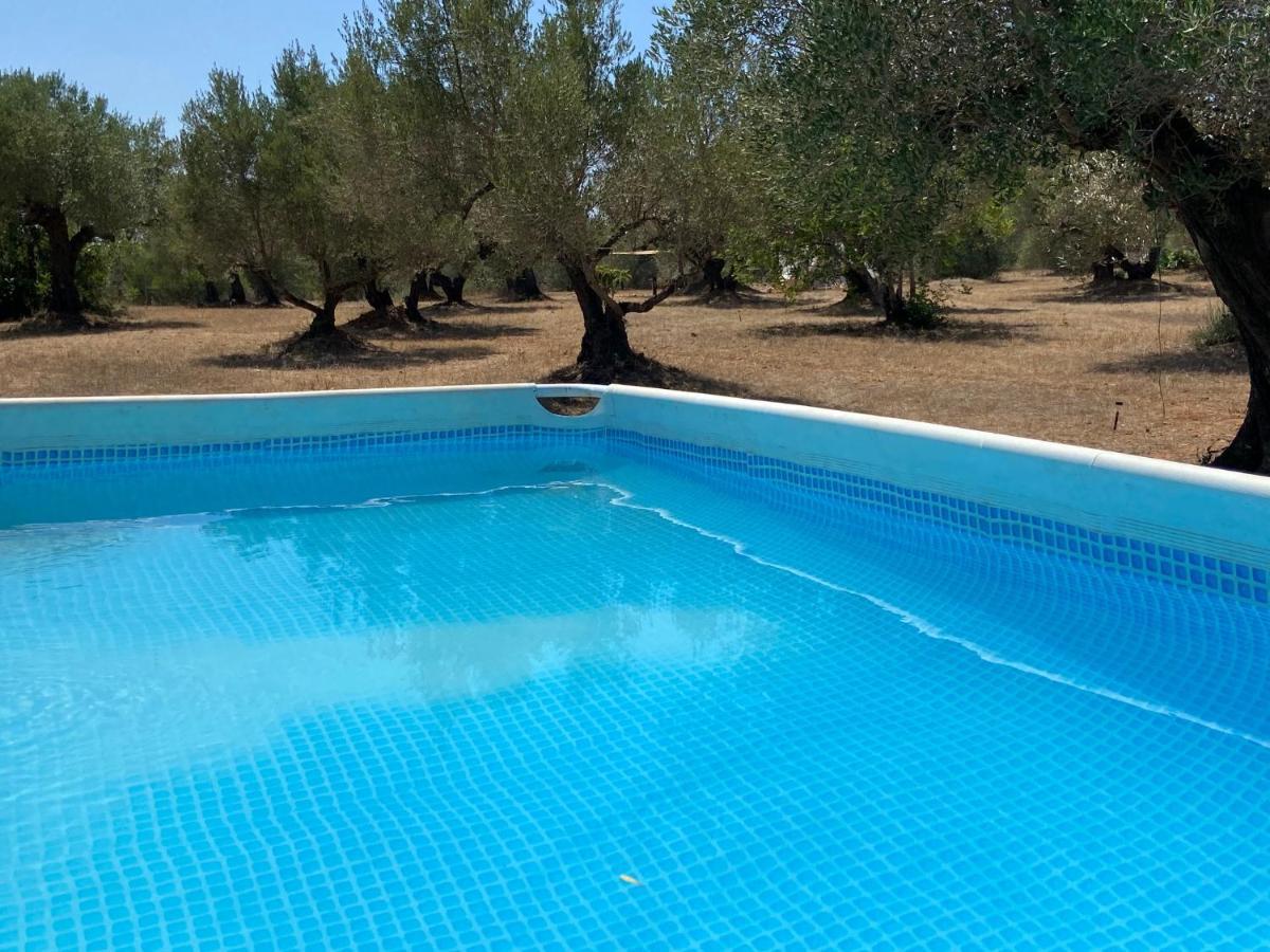 Paraiso Bell Tent Tortosa Exteriör bild